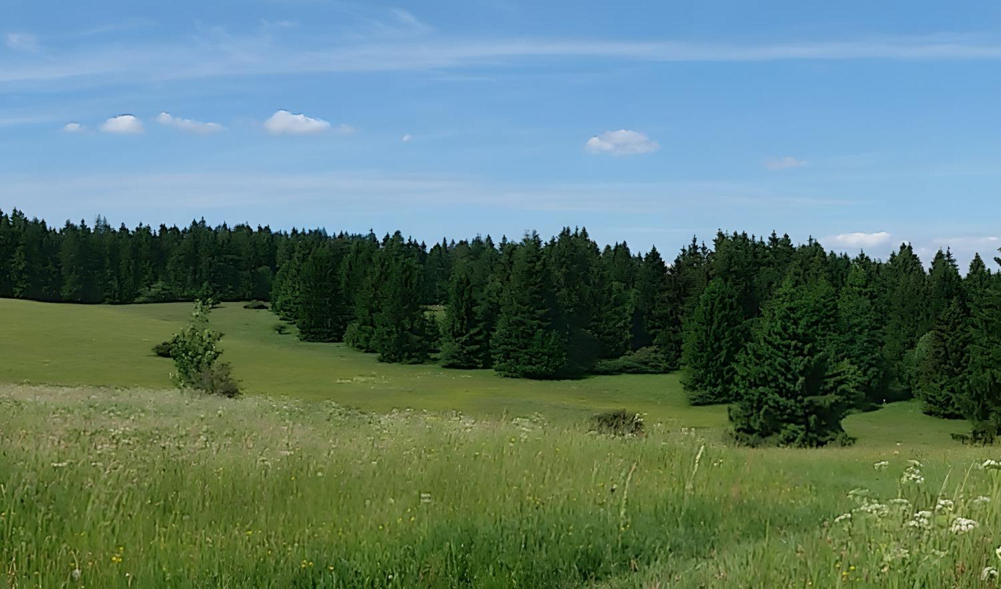 Ferienhaus Zur Schoenen Aussicht Hardt  Экстерьер фото